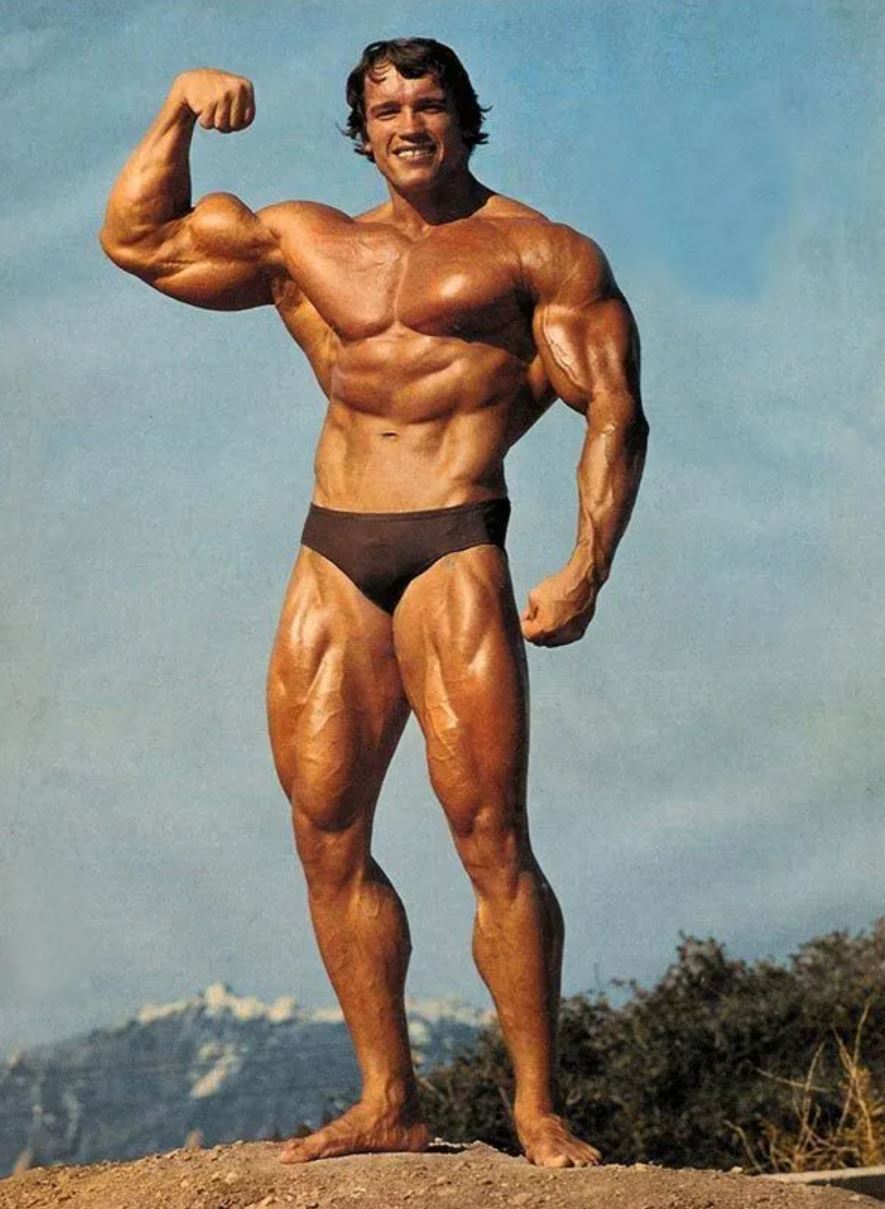 Arnold Schwarzenegger jeune